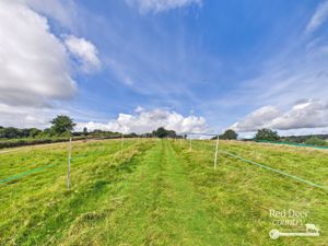 Paddocks- click for photo gallery